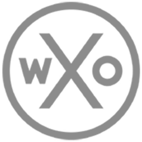 World Experience Organisation Member